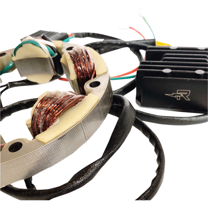 RICK'S MOTORSPORT ELECTRIC CHARGING KIT LITH-ION 14-99-101