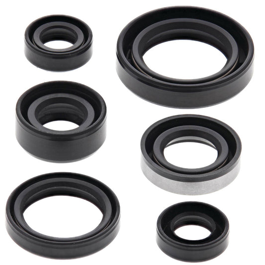 VERTEX OIL SEAL KIT 822194