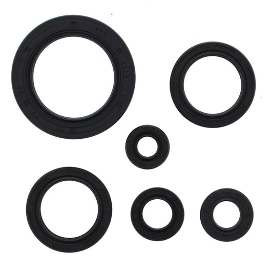 VERTEX OIL SEAL KIT 822978