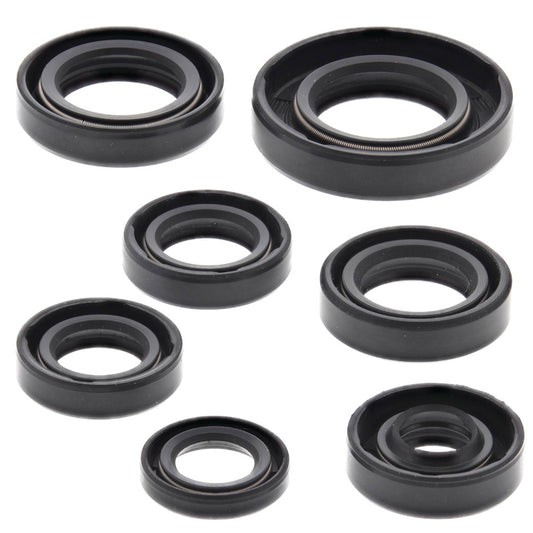 VERTEX OIL SEAL KIT 822105