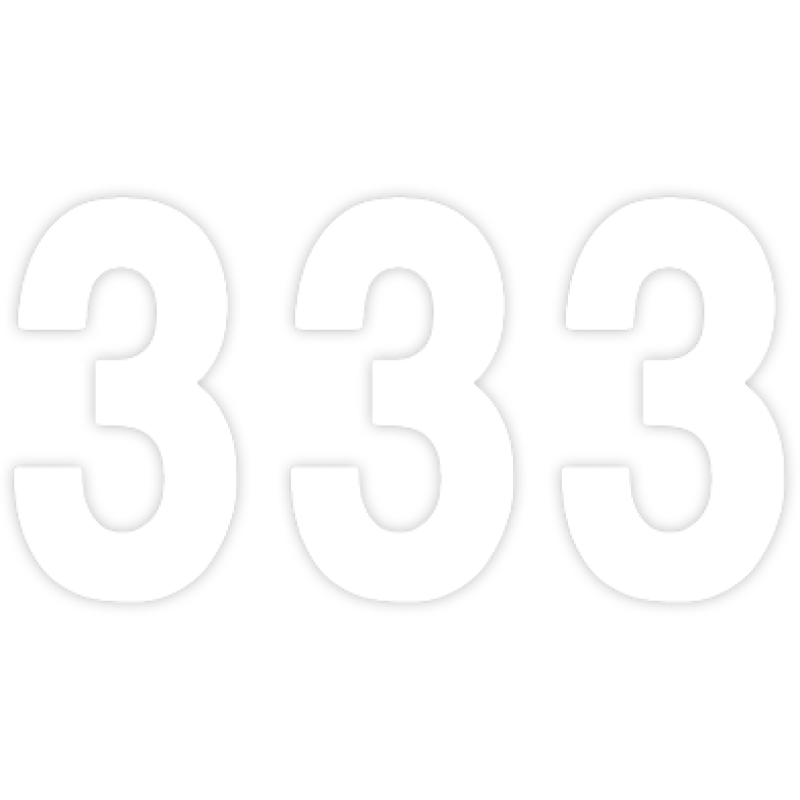 FACTORY EFFEX PRO 5" NUMBER WHITE #3 03-0203