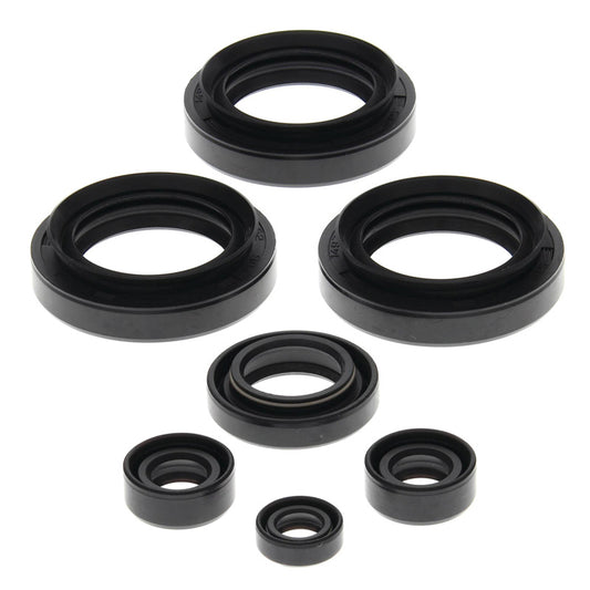 VERTEX OIL SEAL KIT 822145