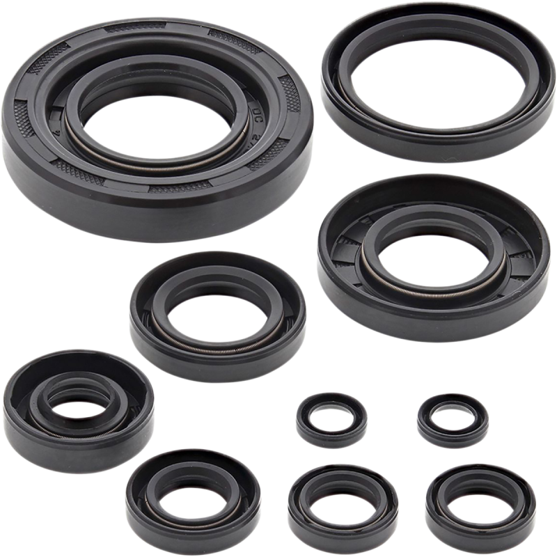 WINDEROSA OIL SEAL KIT 822304