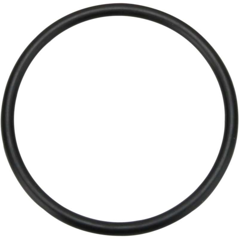 JAMES GASKET O-RING 5TH GEAR 06-19 XL JGI-11113