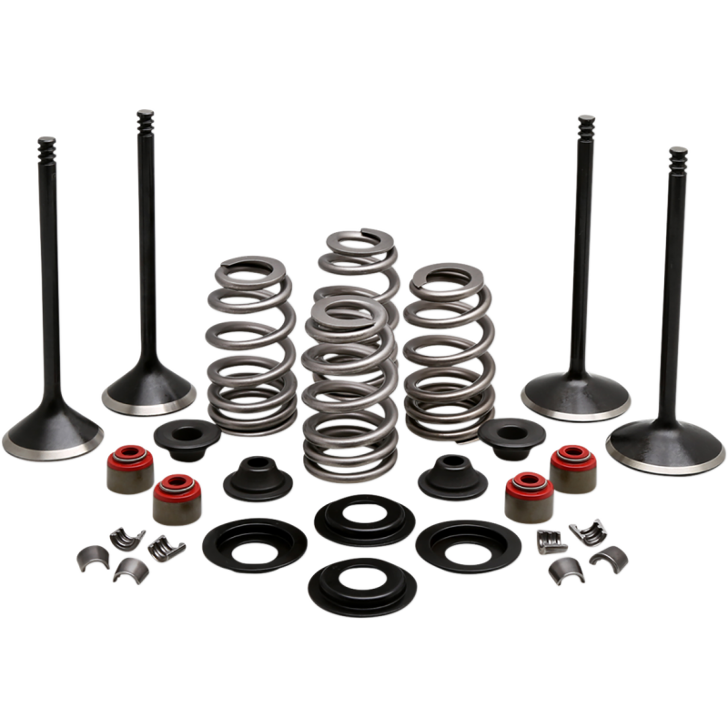 KIBBLEWHITE ENGINE KIT 2005-17 HD TWIN CAM 88"-103" 20-23150