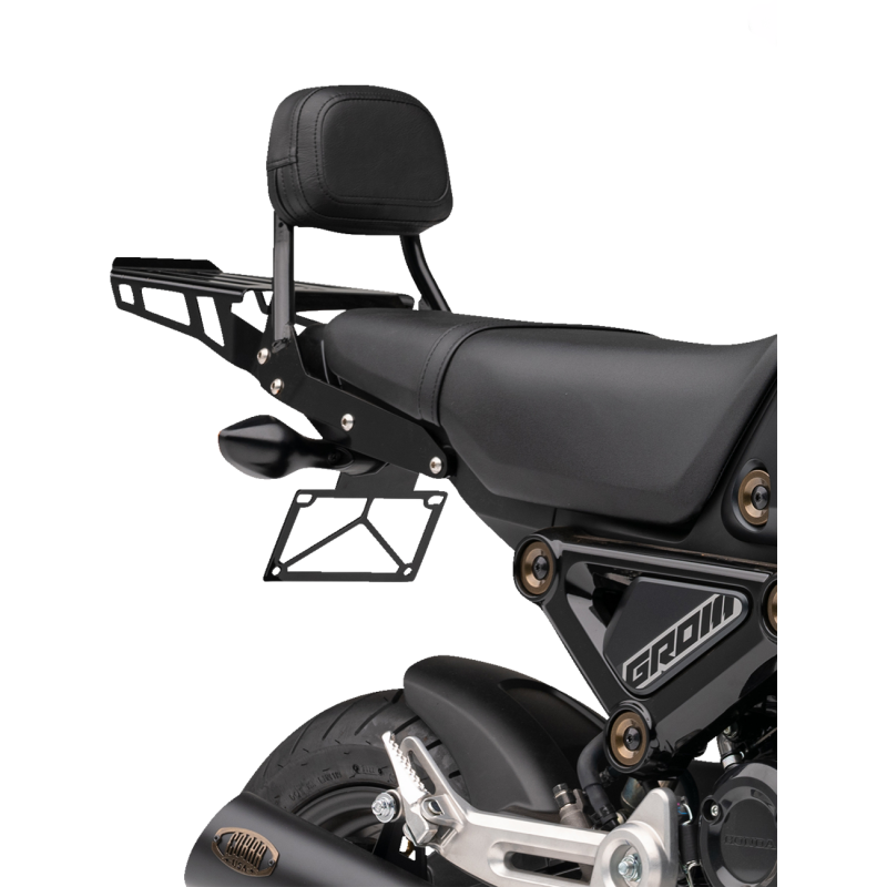 COBRA SISSY BAR RACK-FORMED (BLK) GROM 22-23 02-3607B