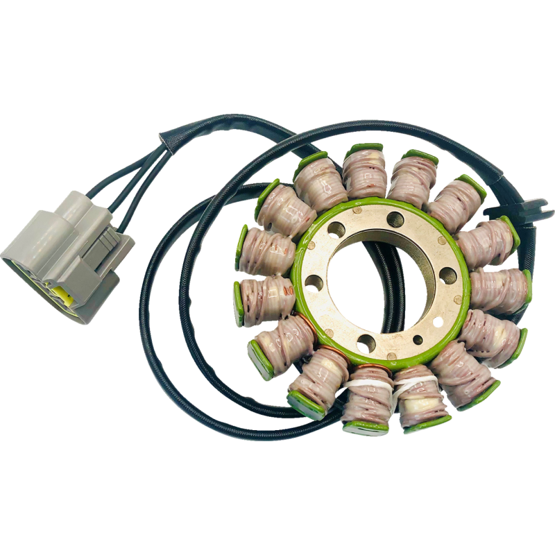 RICK'S MOTORSPORT ELECTRIC STATOR BMW 21-038