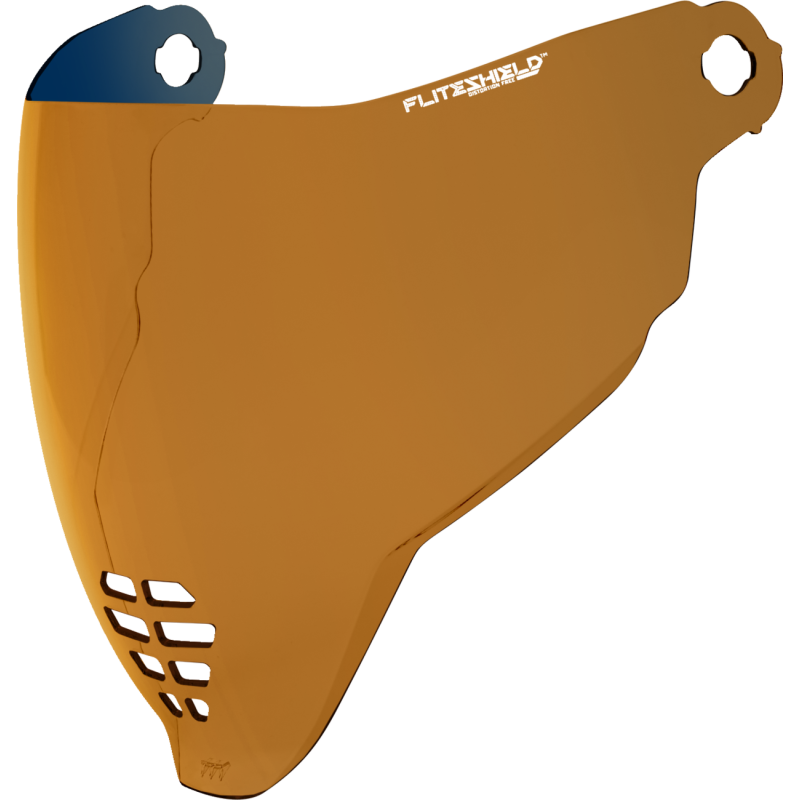 ICON SHIELD AFLT 22.06 RST BZ 0130-1078