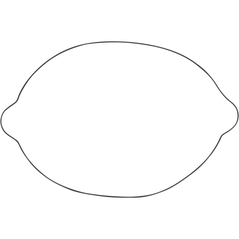 WINDEROSA OUTER CLUTCH GASKET KIT 817826
