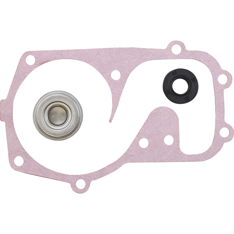 VERTEX REPAIR KIT WATER PUMP POL 721310
