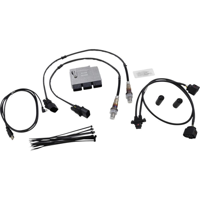 THUNDER HEART PERFORMANCE 2018 SOFTAIL ECU W/AUTOTUNE 309-589