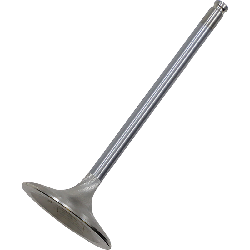 KIBBLEWHITE VALVE IN +1MM HON1000 16+ 30-33813H