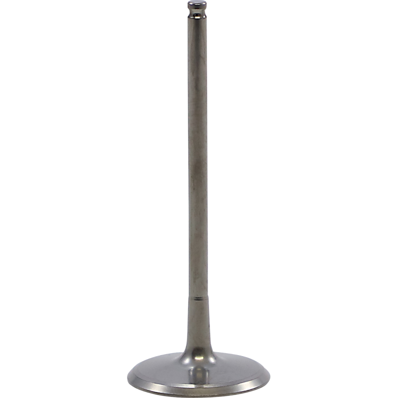 KIBBLEWHITE VALVE IN TI KX250F 20-21 40-41612T