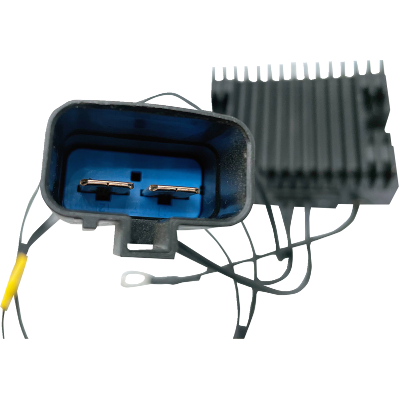 RICK'S MOTORSPORT ELECTRIC REG-REC HD 10-910B