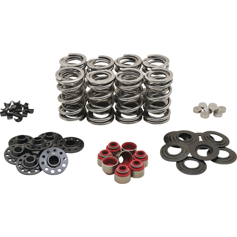 KIBBLEWHITE SPRING KT SHIM M8 DUAL ST 20-23450