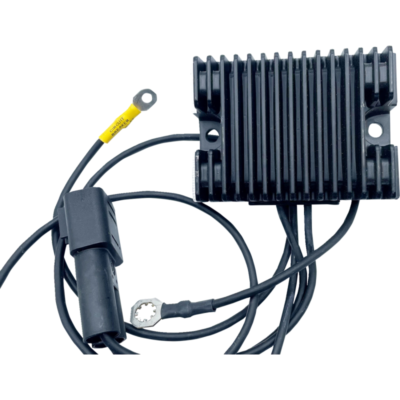 RICK'S MOTORSPORT ELECTRIC REG-REC HD 10-910B