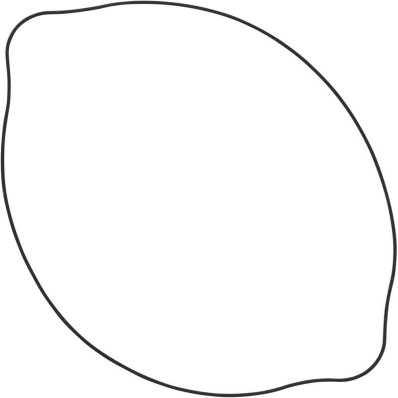 WINDEROSA OUTER CLUTCH GASKET KIT 817507