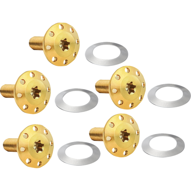 ARLEN NESS BOLT KIT ROTOR REAR HOLESHOT 5 PACK HUB MOUNT, GOL 300-908