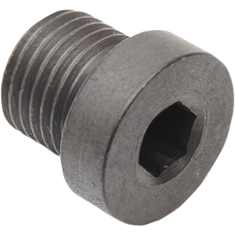 DAYTONA TWIN TEC LLC 12X1.25 MM STEEL PLUG EA 115010