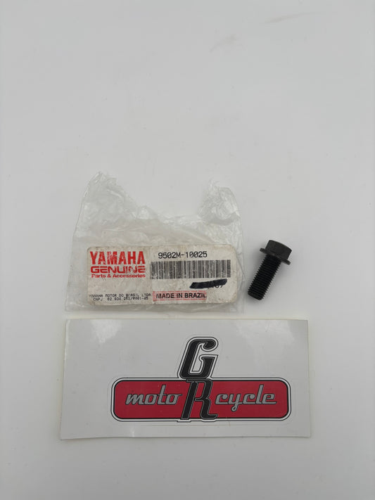 YAMAHA SMALL FLANGE BOLT SUB 95027-10025-00 9502M-10025-00 Y215