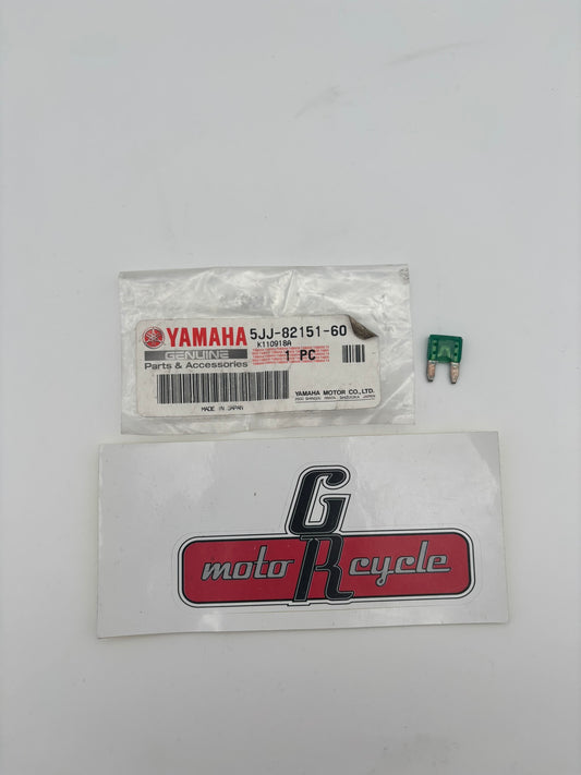 YAMAHA FUSE 30 AMP 5JJ-82151-60-00 Y217