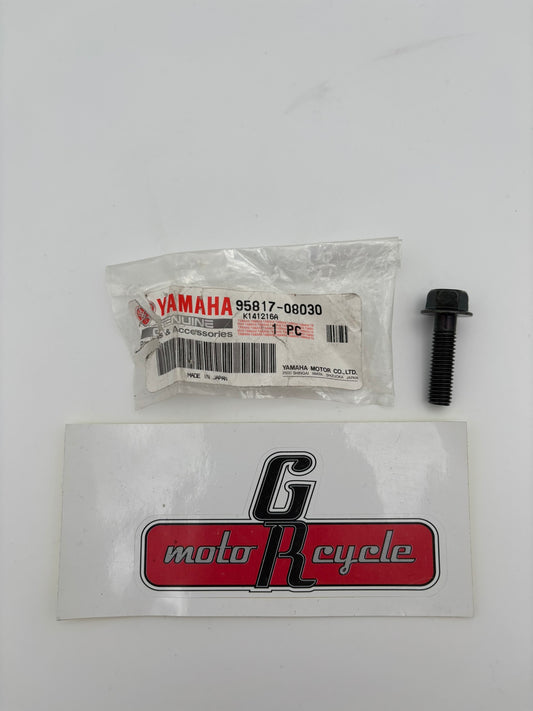 YAMAHA FLANGE BOLT (6TA) 95817-08030-00 Y218