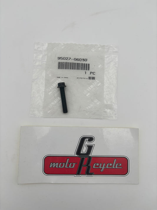 YAMAHA SMALL FLANGE BOLT 95027-06030-00 Y220