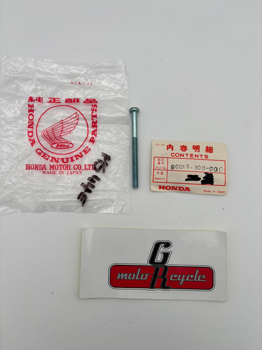 HONDA SCREW PAN (6X75) 90018-300-000 H204