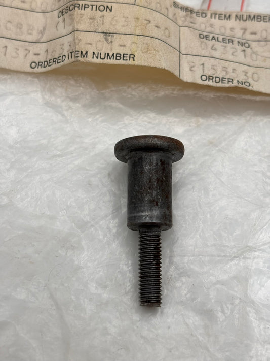 YAMAHA SCREW SPECIAL SHAPE (SUB 137-16337-01-00 90149-05057 )  137-16337-00-00 Y114