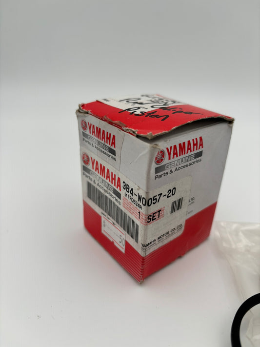 YAMAHA CALIPER PISTON ASSY 3B4-W0057-20-00 Y19