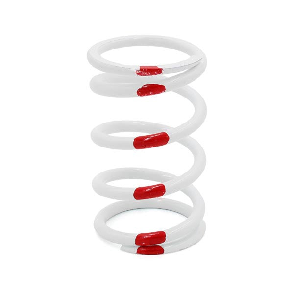 EPI PRIMARY CLUTCH SPRING POLARIS PATV27