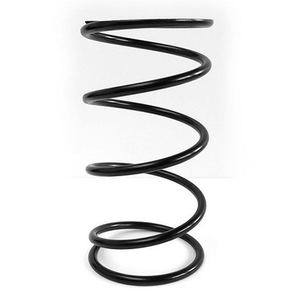 EPI SECONDARY CLUTCH SPRING BLACK POLARIS PEBS1