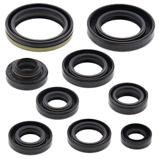 VERTEX OIL SEAL KIT 822131