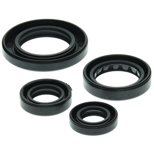 VERTEX OIL SEAL KIT 822211