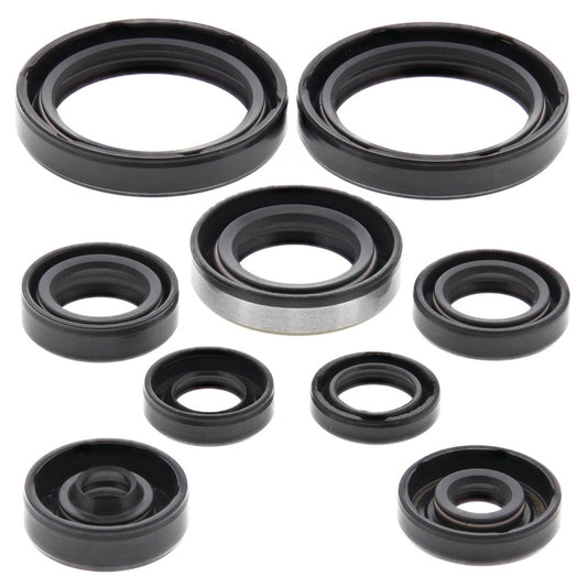VERTEX OIL SEAL KIT 822316