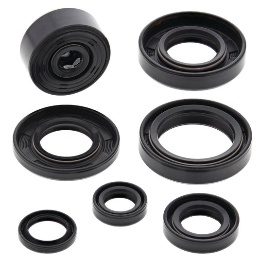 VERTEX OIL SEAL KIT 822112