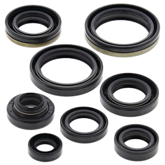 VERTEX OIL SEAL KIT 822125