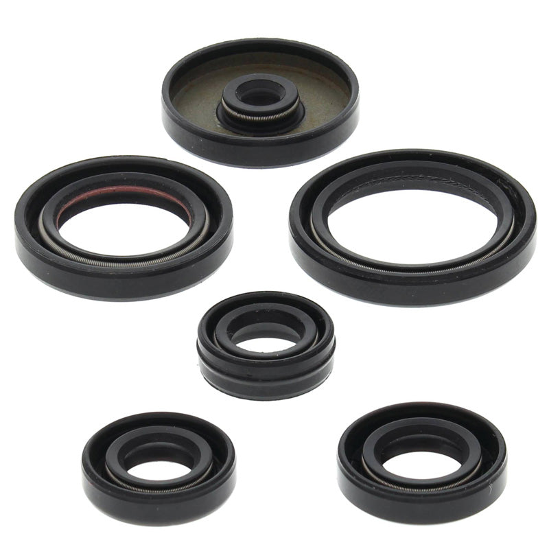VERTEX OIL SEAL KIT 822229