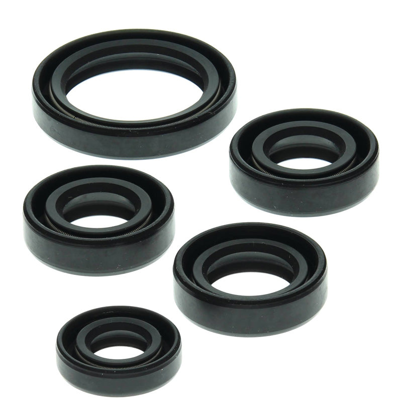 VERTEX OIL SEAL KIT 822138