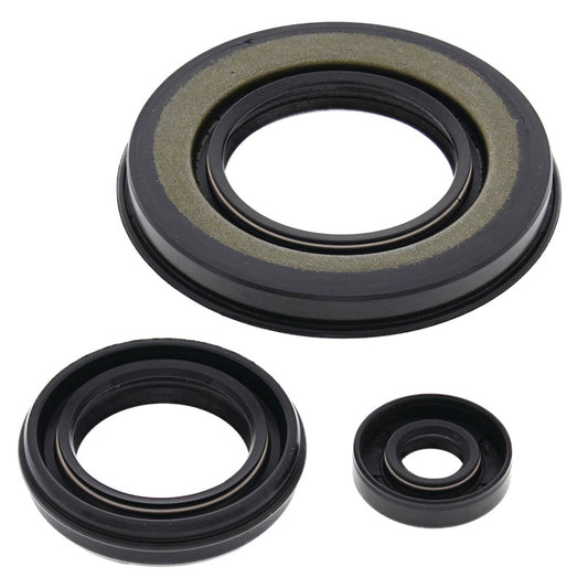 VERTEX OIL SEAL KIT 55198