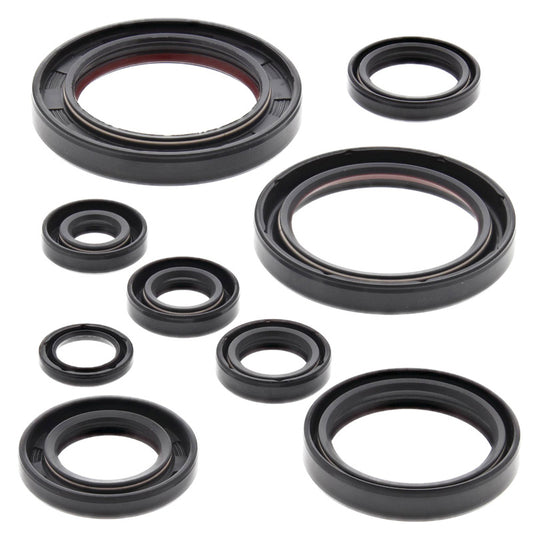 VERTEX OIL SEAL KIT 822315