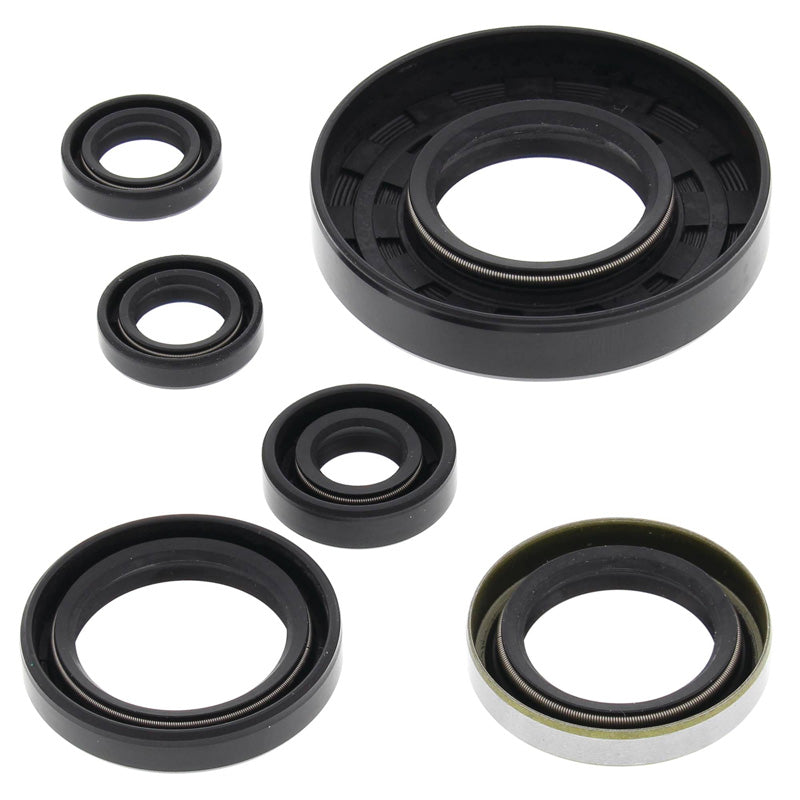 VERTEX OIL SEAL KIT 822262