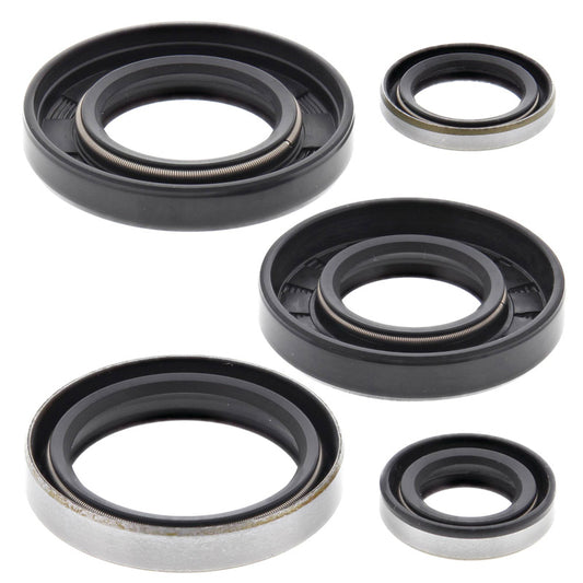 VERTEX OIL SEAL KIT 822129