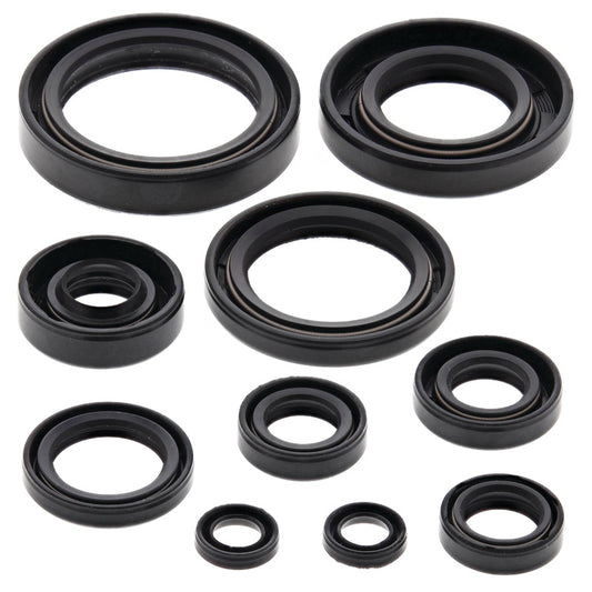 VERTEX OIL SEAL KIT 822114