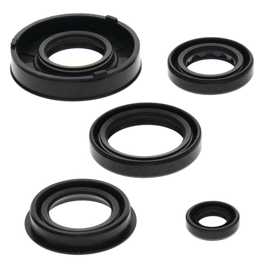 VERTEX OIL SEAL KIT 822217