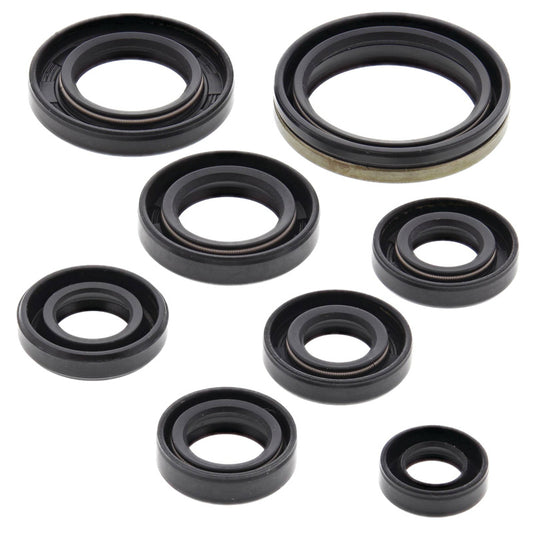 VERTEX OIL SEAL KIT 822303
