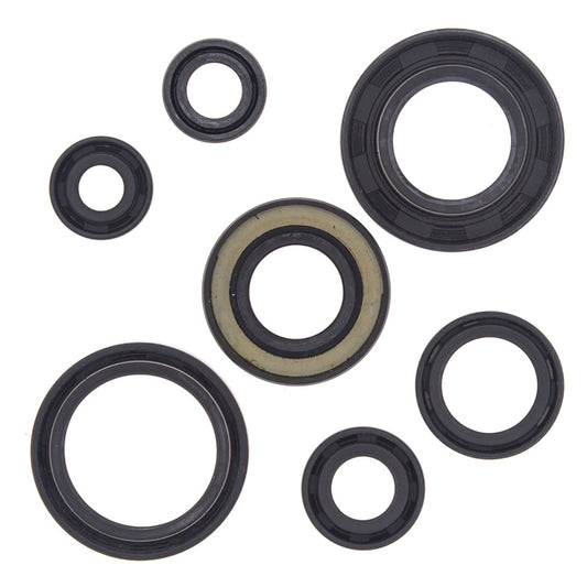 VERTEX OIL SEAL KIT 822153