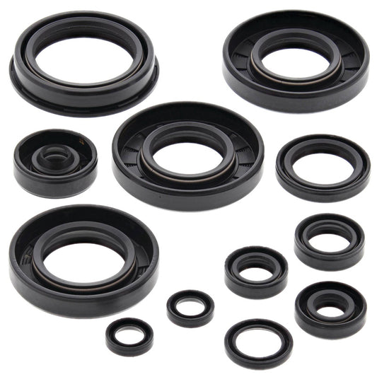 VERTEX OIL SEAL KIT 822252