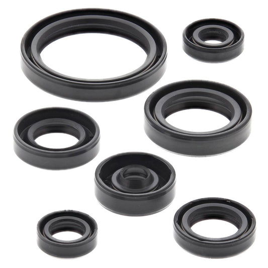 VERTEX OIL SEAL KIT 822692