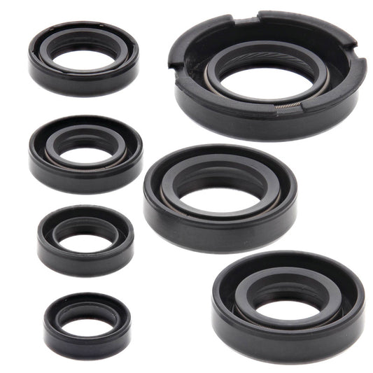 VERTEX OIL SEAL KIT 822219